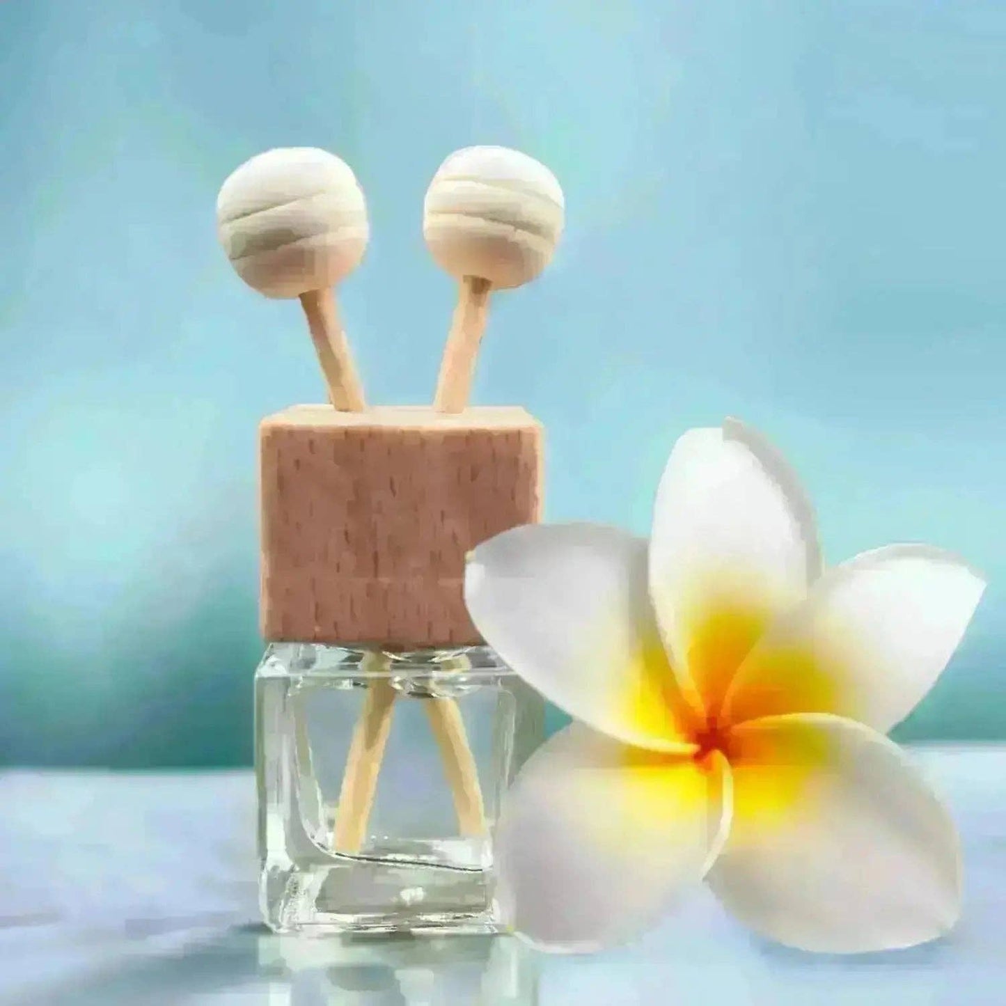 Beach House | Mini Car Diffuser