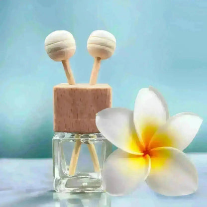 Hawaiian Tropic Like It's Hot | Car Diffuser